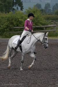 ISIS Dressage Challenge 2008